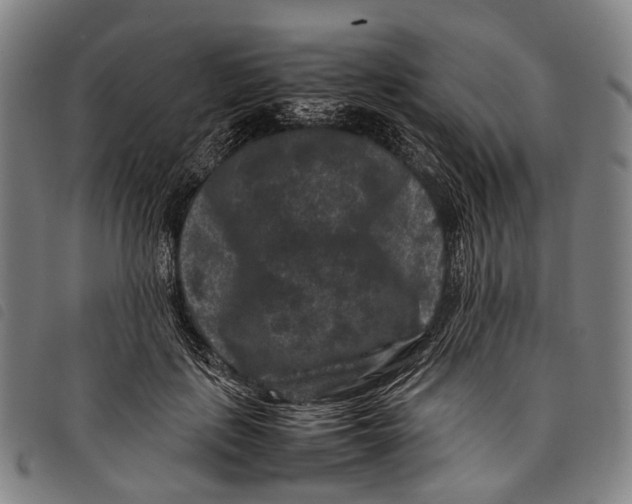 X0000097840651200804041444