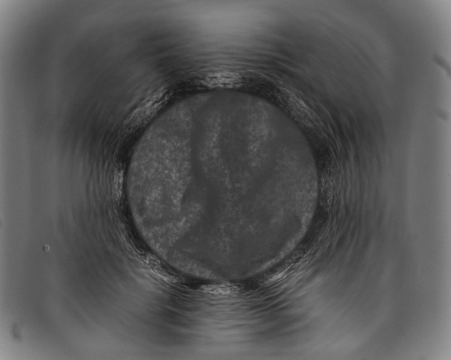 X0000097840652200804041444
