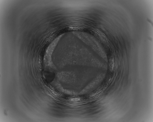 X0000097840653200804041444