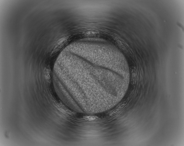 X0000097840654200804041444