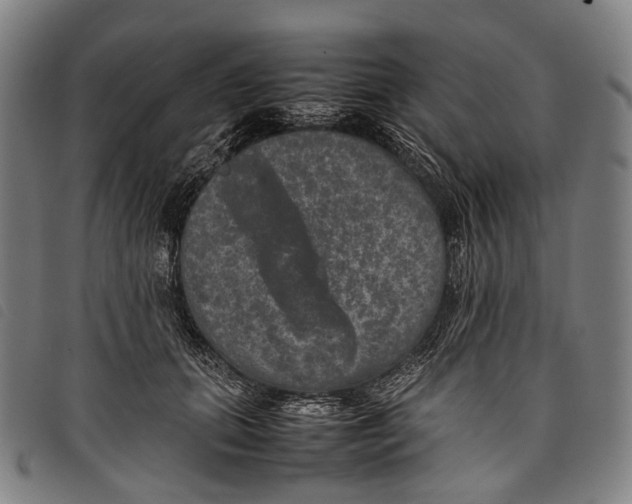 X0000097840655200804041444