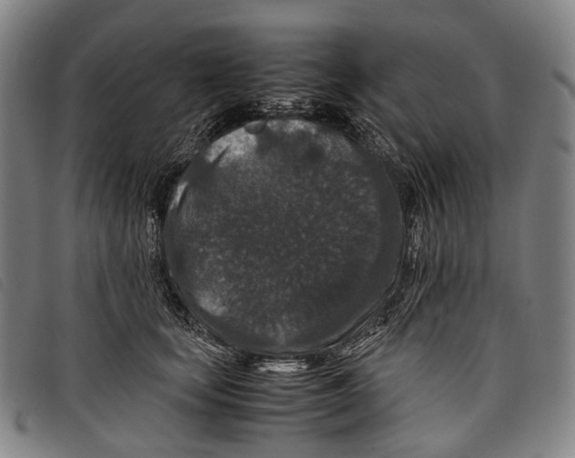 X0000097840659200804041445