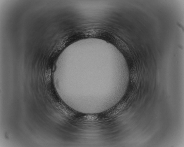 X0000097840660200804041445