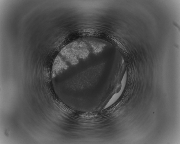 X0000097840661200804041445