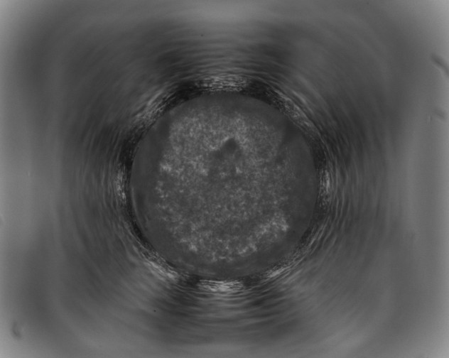 X0000097840663200804041445