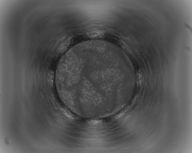 X0000097840664200804041445