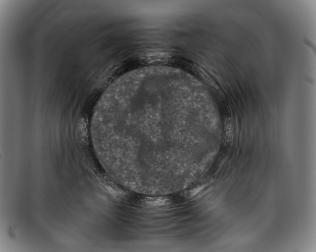 X0000097840667200804041445