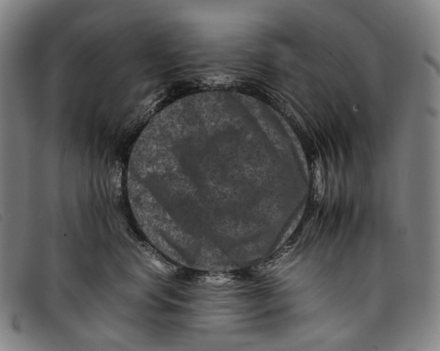 X0000097840668200804041445