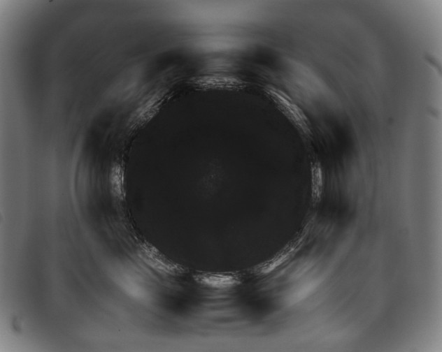 X0000097840669200804041445