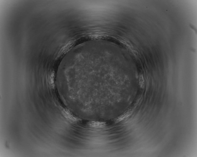 X0000097840670200804041445