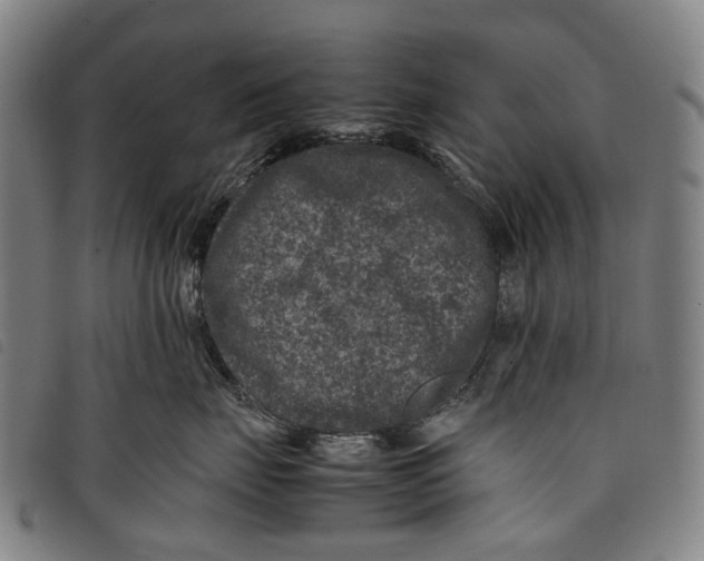 X0000097840671200804041445