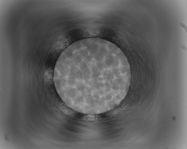 X0000097840672200804041445