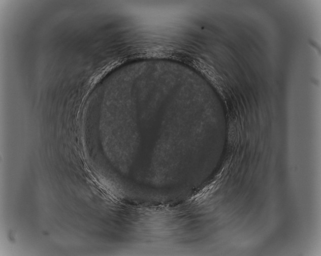 X0000097840673200804041444