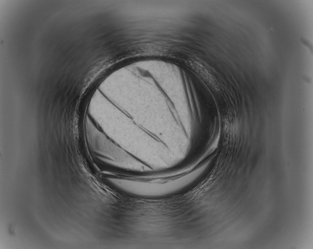 X0000097840676200804041444