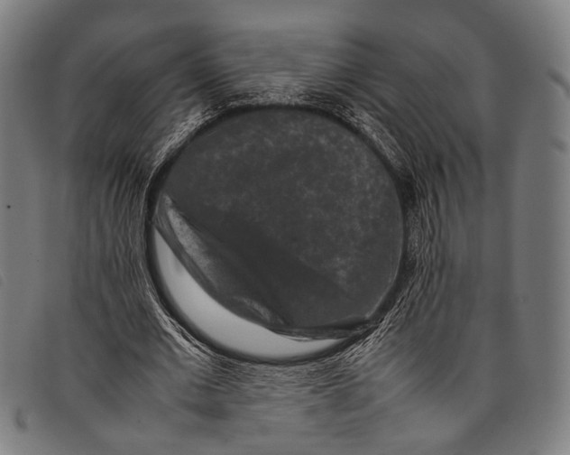 X0000097840677200804041444