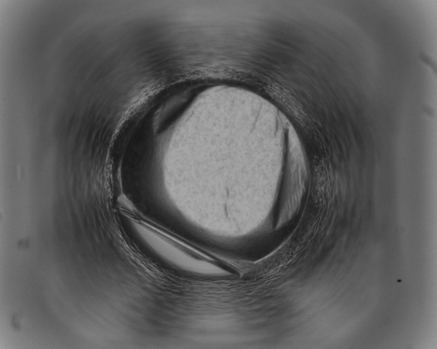 X0000097840680200804041444