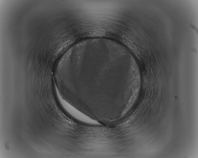 X0000097840681200804041444
