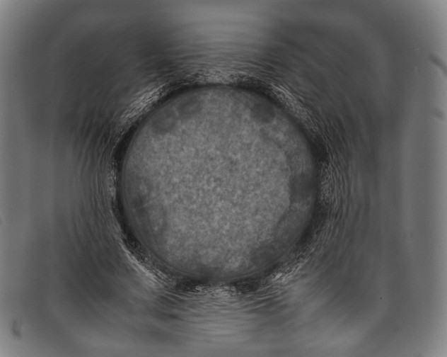 X0000097840683200804041444