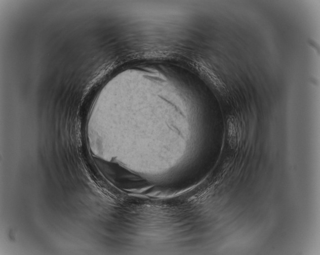X0000097840684200804041444