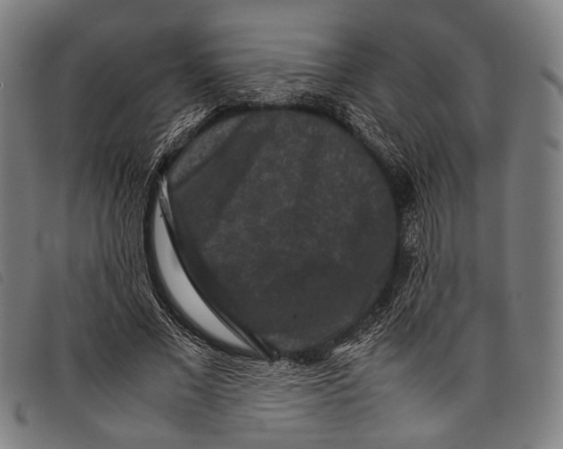 X0000097840685200804041444