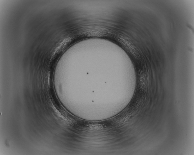 X0000097840686200804041444