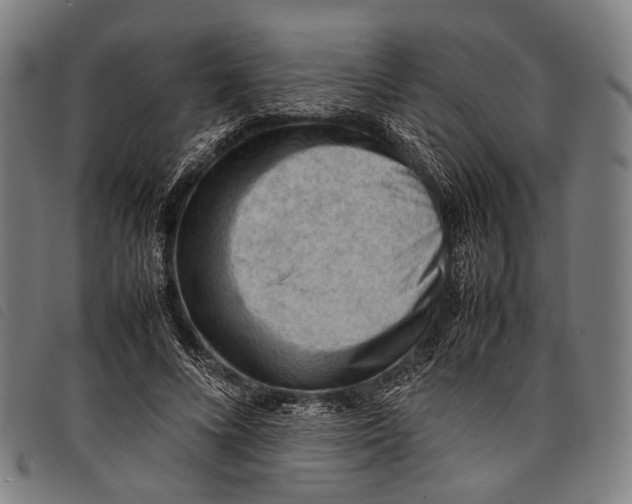 X0000097840688200804041444