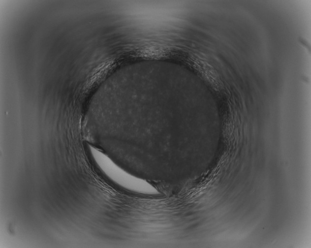 X0000097840689200804041444