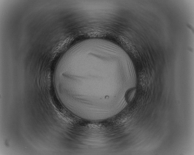 X0000097840690200804041444