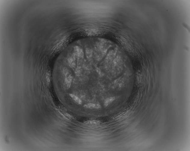 X0000097840691200804041444