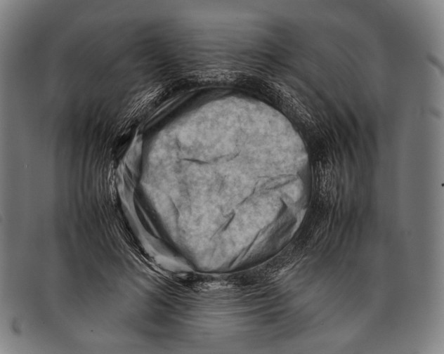 X0000097840692200804041444