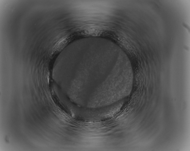 X0000097840693200804041444