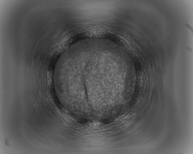 X0000097840695200804041444