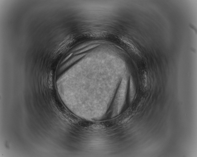 X0000097840696200804041444