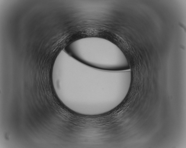 X0000097840697200804041444