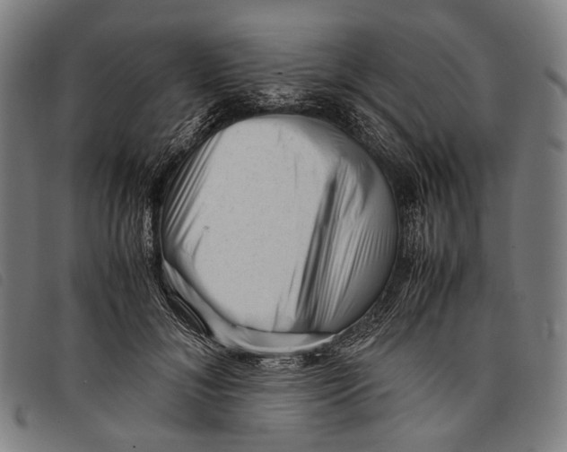 X0000097840700200804041444