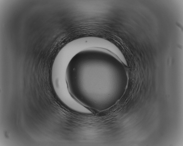 X0000097840701200804041444