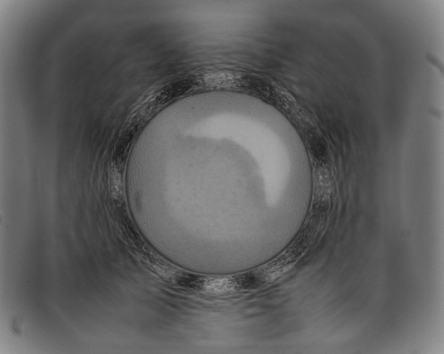 X0000097840705200804041444