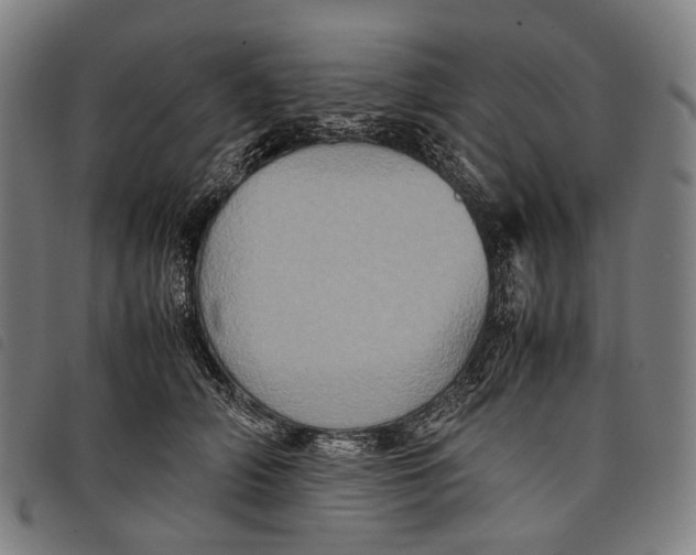 X0000097840706200804041444