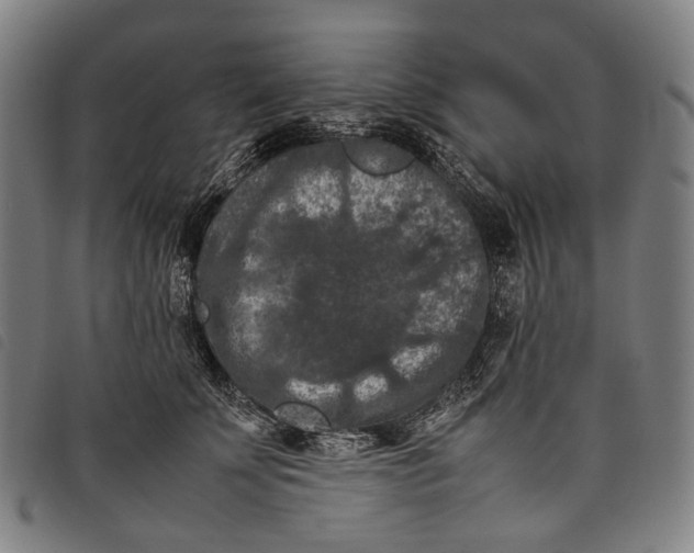 X0000097840707200804041444