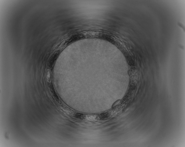 X0000097840709200804041444