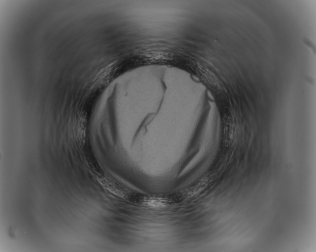 X0000097840710200804041444