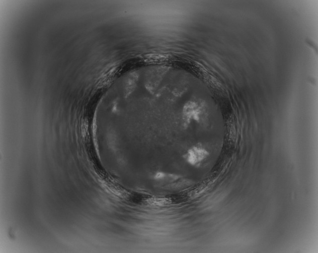 X0000097840711200804041444