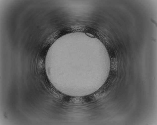 X0000097840713200804041443