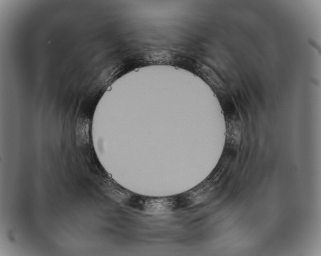 X0000097840717200804041443