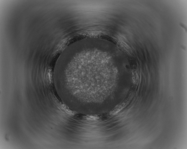 X0000097840718200804041443