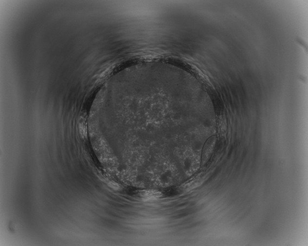 X0000097840719200804041443