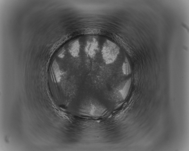 X0000097840721200804041443
