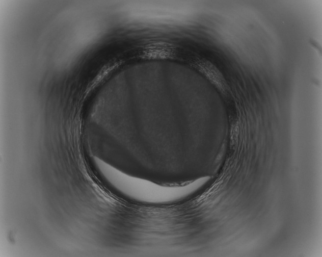 X0000097840722200804041443