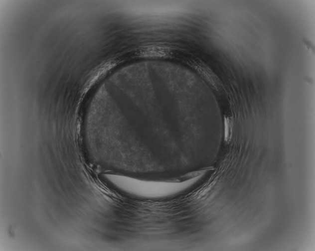 X0000097840723200804041443