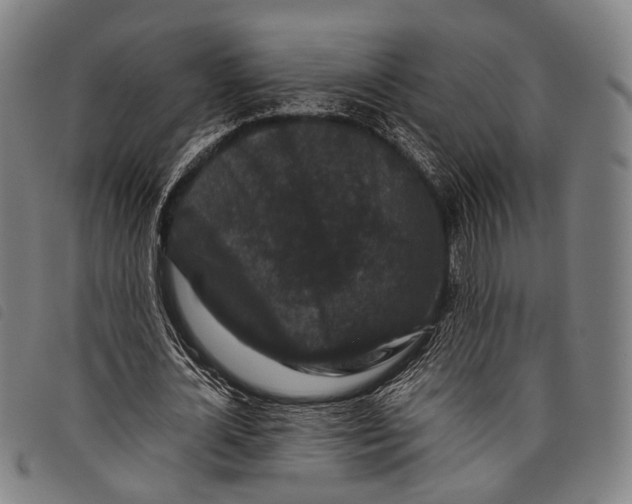 X0000097840724200804041443